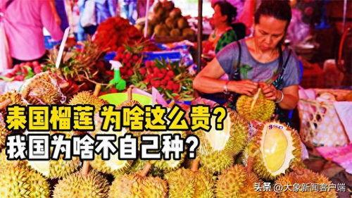 91华人国产,融合创新,共筑繁荣未来